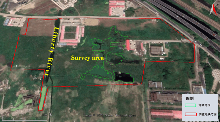 West Ring Expressway