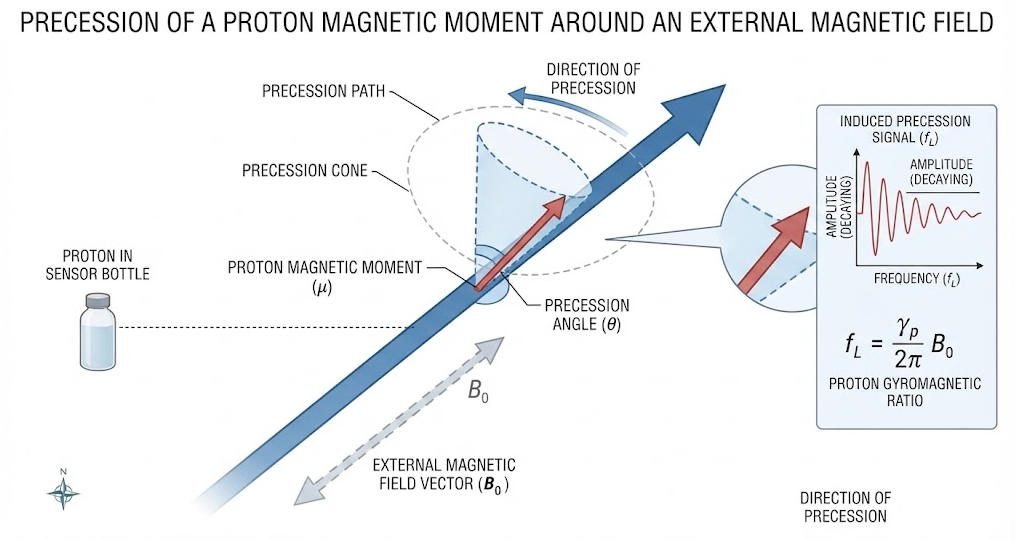 Illustration of proton Larmor precession around a magnetic field